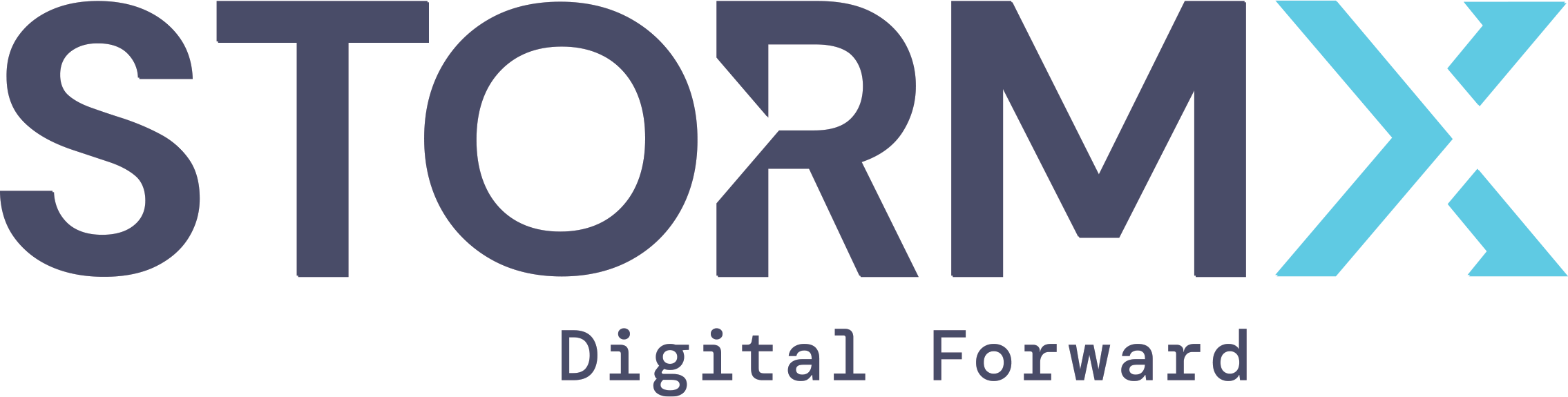 StormX — Digital Forward